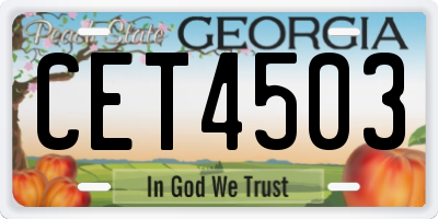 GA license plate CET4503