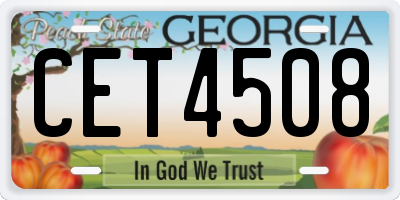 GA license plate CET4508