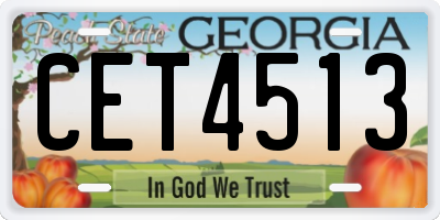 GA license plate CET4513