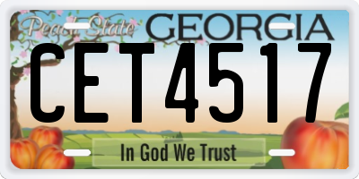 GA license plate CET4517