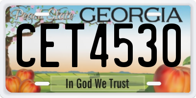 GA license plate CET4530