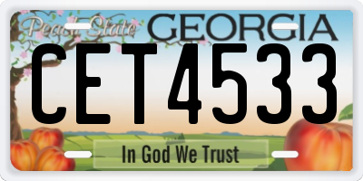 GA license plate CET4533