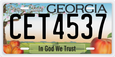 GA license plate CET4537