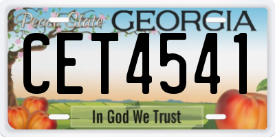 GA license plate CET4541