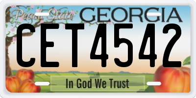 GA license plate CET4542