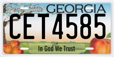 GA license plate CET4585