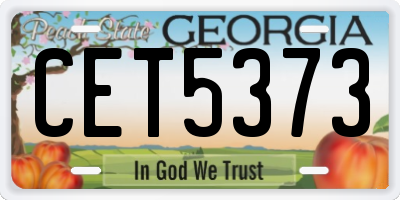 GA license plate CET5373