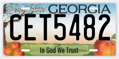 GA license plate CET5482