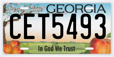 GA license plate CET5493