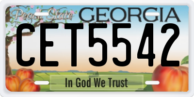GA license plate CET5542