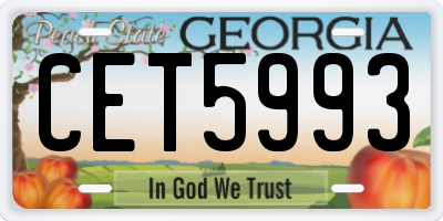 GA license plate CET5993