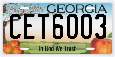GA license plate CET6003