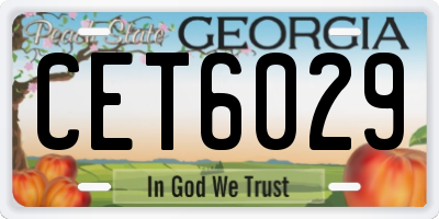 GA license plate CET6029