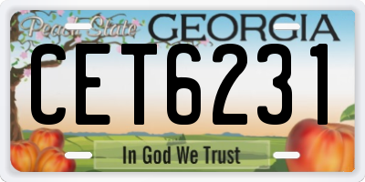 GA license plate CET6231