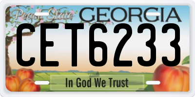 GA license plate CET6233