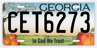 GA license plate CET6273
