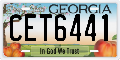 GA license plate CET6441