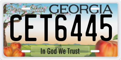 GA license plate CET6445