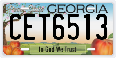 GA license plate CET6513