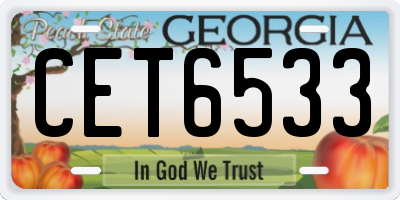 GA license plate CET6533