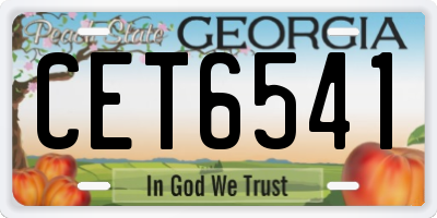 GA license plate CET6541