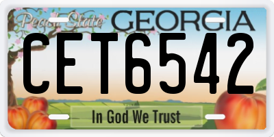 GA license plate CET6542