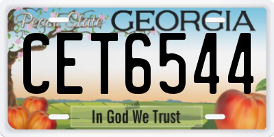 GA license plate CET6544