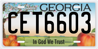 GA license plate CET6603