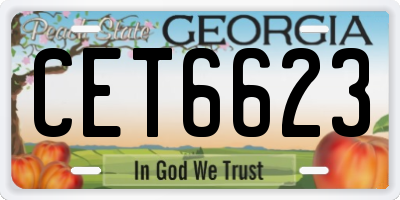 GA license plate CET6623