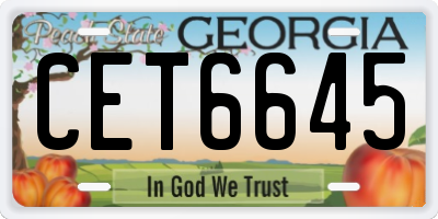 GA license plate CET6645
