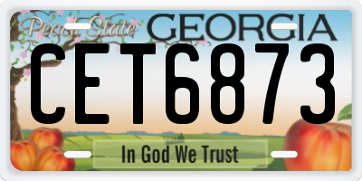 GA license plate CET6873