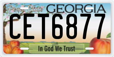 GA license plate CET6877