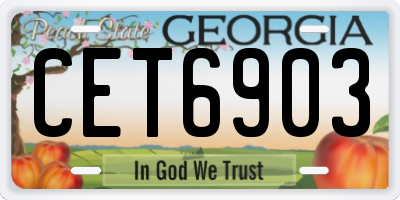 GA license plate CET6903