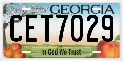 GA license plate CET7029