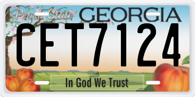 GA license plate CET7124