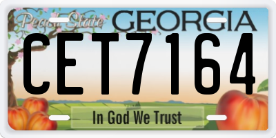 GA license plate CET7164