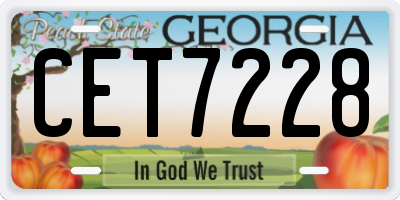 GA license plate CET7228