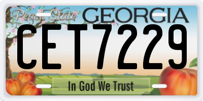 GA license plate CET7229