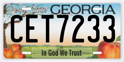 GA license plate CET7233