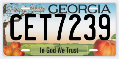 GA license plate CET7239