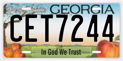 GA license plate CET7244