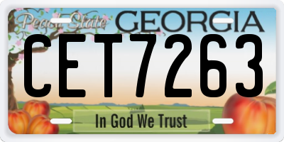 GA license plate CET7263