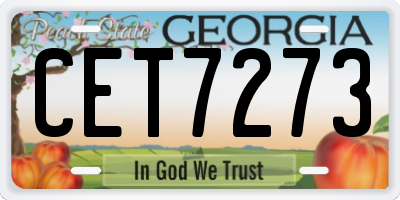 GA license plate CET7273