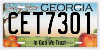 GA license plate CET7301