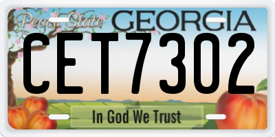 GA license plate CET7302