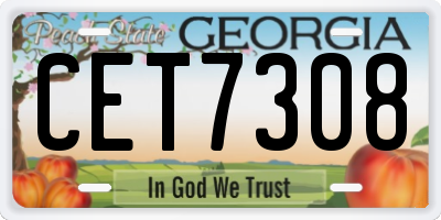 GA license plate CET7308