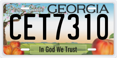 GA license plate CET7310