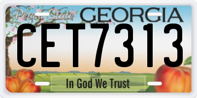 GA license plate CET7313