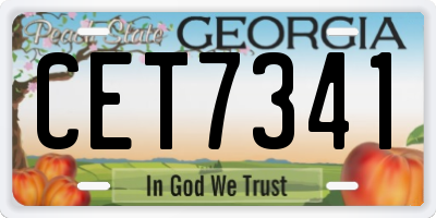 GA license plate CET7341