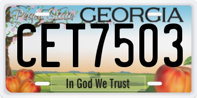 GA license plate CET7503
